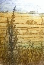 titchwell